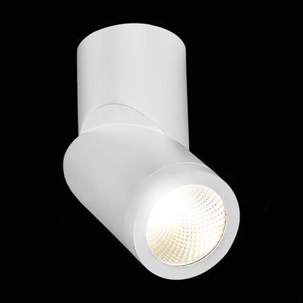 ST650.542.10 Светильник потолочный Белый LED 1*10W 4000K 800Lm Ra&gt;90 38° IP44 D60xH175 165-265V