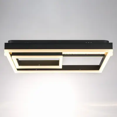 738687 Настенно-потолочный светильник UNDINE 90W LED 3872LM ЧЕРНЫЙ 3000-6000K Lightstar