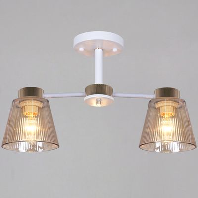 20560-0.3-02 WH+FG светильник потолочный