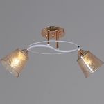 06003-0.3-02 FG+WT светильник потолочный