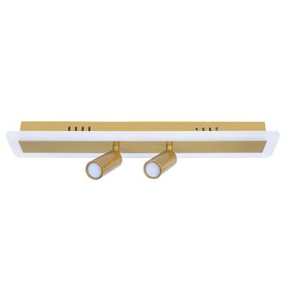 Спот Arte Lamp TOMMY A2607PL-22GO, 1хLED