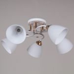 06104-0.3-05 WH+FG светильник потолочный