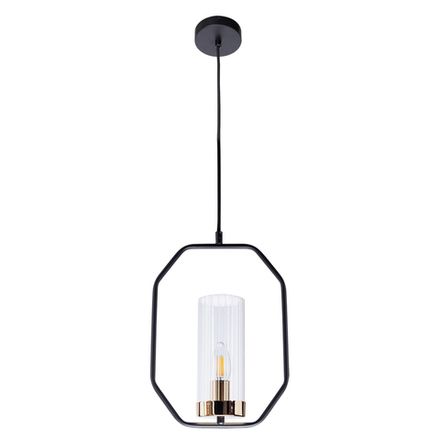 Подвесной светильник Arte Lamp CELAENO A7004SP-1BK, 1хE14