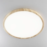 Citilux БейсикCL738322V LED Светильник накладной Клён