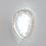 Бра Crystal Lux FELICIDAD AP9W LED 0590/401