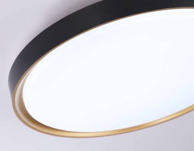 Потолочный светодиодный светильник FZ1249 BK/GD черный/золото IP54 45W 5000K D480*60 (Без ПДУ)