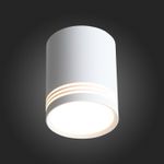 ST101.502.12 Светильник потолочный Белый LED 1*12W 3000K 936Lm 120° IP20 D79xH100 170-240V