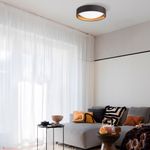 SLE201102-01 Светильник потолочный Черный, Золото/Белый LED 1*24W 4000K