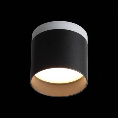 ST102.402.12 Светильник потолочный Черный LED 1*12W 3000K 936Lm Ra&gt;80 120° IP20 D100xH90 170-240V