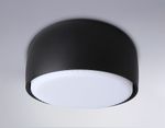 Светильник накладной TN71003 BK черный GX53 max 12W D80*50