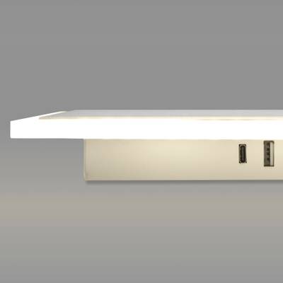 Настенный светодиодный светильник с USB и Type-C 20127/1 LED белый
