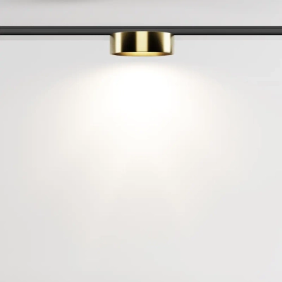 Трековый светильник Зон / Zon Levity 4000К 12Вт 100°, TR189-1-12W4K-BBS. TM Maytoni