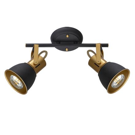 Спот Arte Lamp JOVI A1677PL-2GO, 2хE14