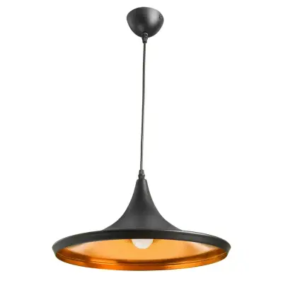 Подвесной светильник Arte Lamp CAPPELLO A3406SP-1BK, 1хE27