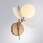 Бра Arte Lamp PEACOCK A1369AP-1SG, 1хG9