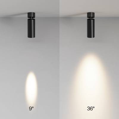 Потолочный светильник FOCUS LED 3000К 12Вт 9° IP 20 C055CL-L12W3K-SS-B. TM Maytoni