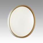 7645/DL COLOR SN 104 Светильник пластик/белый/оранжевый LED 48Вт 4000К D415 IP43 KISIL