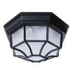 Уличный потолочный светильник Arte Lamp PEGASUS A3100PL-1BK, 1хE27