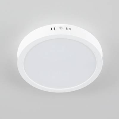 Citilux Галс CL5522N Светильник накладной светодиодный