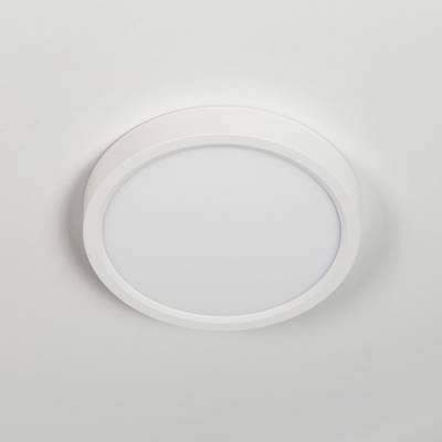 Citilux Бейсик CL738120N Светильник накладной Белый