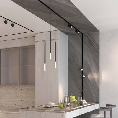 Светильник MAG-ORIENT-STICK-HANG-R20-3W Day4000 (BK, 180 deg, 48V) (Arlight, IP20 Металл, 5 лет)