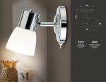 Накладной спот с выключателем TR3961 CH/FR хром/белый матовый E27 max 40W 118*105*200