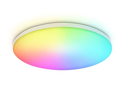 Потолочный светодиодный светильник с Wi-Fi Яндекс Алисой/Tuya/Smart Home/Alexa FZ2001 WH белый IP54 20W 3000K-6500K+RGB D300*55 (ПДУ ИК)