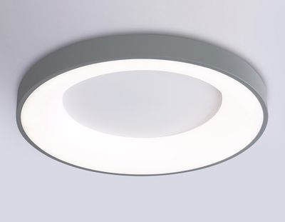 Потолочный светодиодный светильник FZ1402 GR серый IP20 48W 3000K-6500K D500*50 (ПДУ ИК)