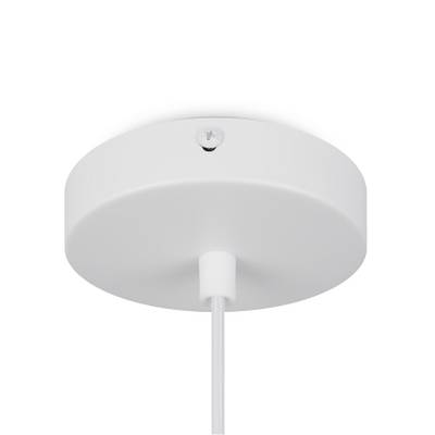 Подвесной светильник Moth FR5392PL-01W1, E27х1. TM Maytoni