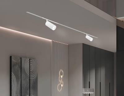 Светильник светодиодный диммируемый для шинопровода Magnetic 220V GL1211 WH белый IP20 12W 3000K-6400K 36° D45*100 (Без ПДУ)