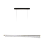 Citilux FANNY CL213121 LED Подвесной светильник с пультом