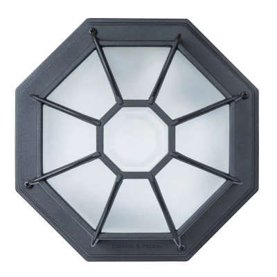 Уличный потолочный светильник Arte Lamp PEGASUS A3100PL-1BK, 1хE27