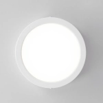 Citilux Галс CL5516N Светильник накладной светодиодный