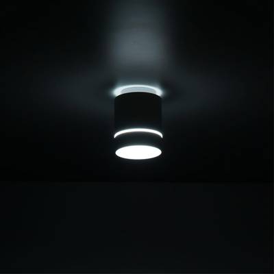 Citilux Борн CL745010N LED Светильник накладной Белый
