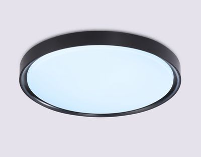 Потолочный светодиодный светильник FZ1248 BK черный IP54 30W 5000K D380*60 (Без ПДУ)