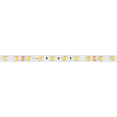 Светодиодная лента RT-B60-10mm 24V Cool 8K (14.4 W/m, IP20, 5060, 5m) (Arlight, 14.4 Вт/м, IP20)
