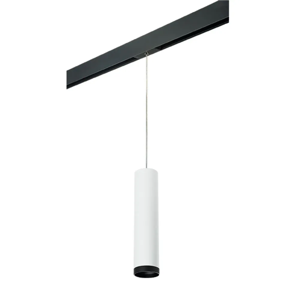 PRORP4963437 Светильник д/1-фазн трека RULLO HP16 (214496+595857+203437) Lightstar