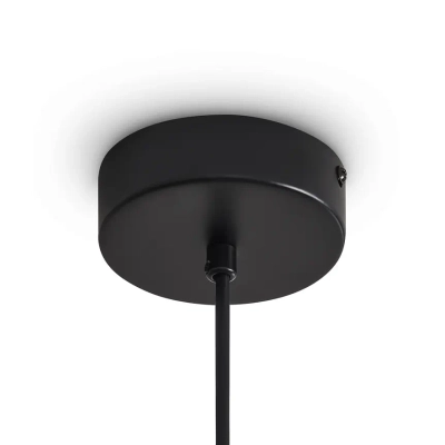 Подвесной светильник FR5541PL-L5B, FR5541PL-L5B. TM Maytoni