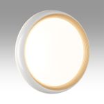 7650/EL PALE SN 86 Светильник пластик/золотой LED 70Вт 3000-6000К D480 IP43 пульт ДУ TOFIQ WHITE