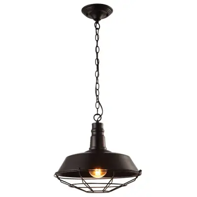 Подвесной светильник Arte Lamp PANDORA A9183SP-1BK, 1хE27