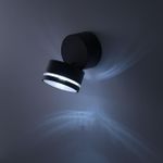Citilux CLU0008R LED Уличный светильник поворотный Графит