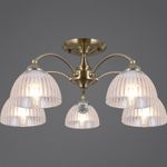 IL0564-5CSQ-25AB ELITE светильник потолочный