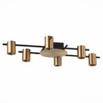 SL1207.402.06 Светильник потолочный ST-Luce Черный/Латунь GU10 6*7W