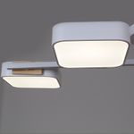 03361-0.3-04 WH+WOOD светильник потолочный