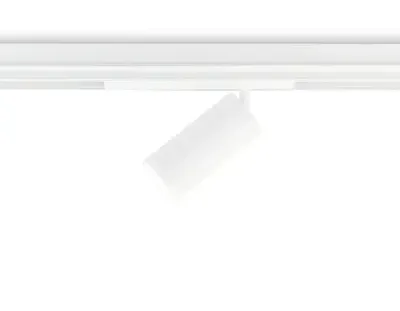 Светильник светодиодный диммируемый для шинопровода Magnetic 220V GL1231 WH белый IP20 24W 3000K-6400K 36° D65*140 (Без ПДУ)