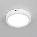 Citilux Галс CL5516N Светильник накладной светодиодный