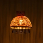 Подвесной светильник Arte Lamp WOODSTOCK A7070SP-1BK, 1хE27