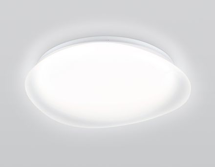 Светильник светодиодный RGB с пультом  FZ1610 FR матовый IP20 40W 3000-6500K+RGB 410*100 (ПДУ ИК)