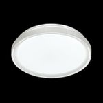 3028/DL COLOR SN 176 Светильник пластик/бел LED 48Вт 3000-6500K D390 IP43 пульт ДУ/RGB/LampSmart SLOT