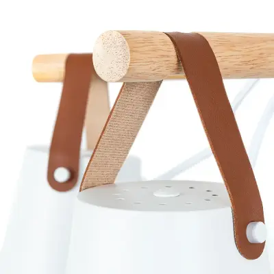 Потолочная люстра Arte Lamp THOMAS A7032PL-5WH, 5хE27